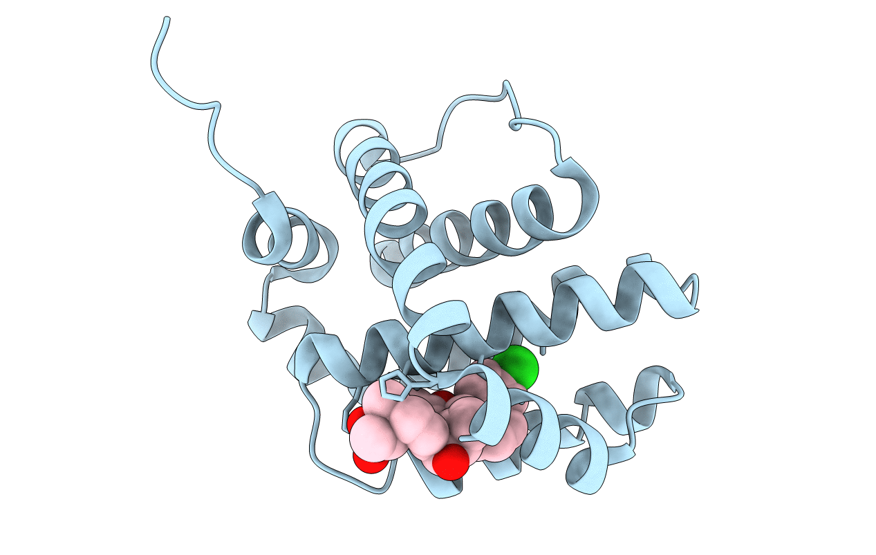 6UDV image