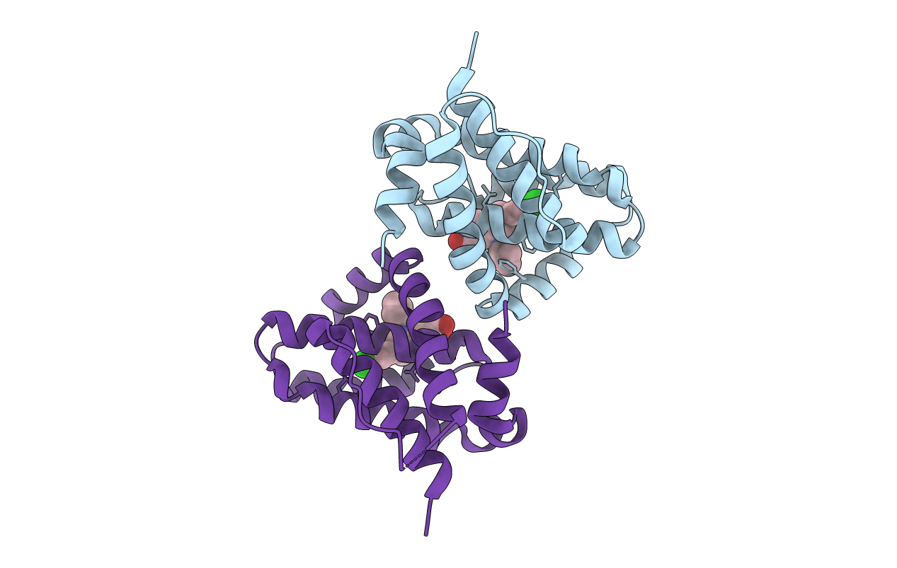 6UDX image