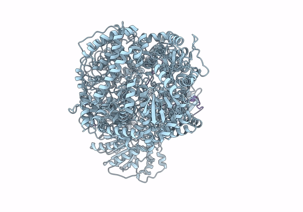 6UEB image