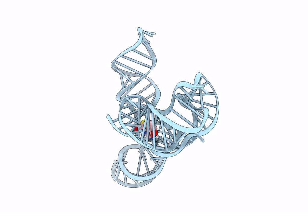 6UET image