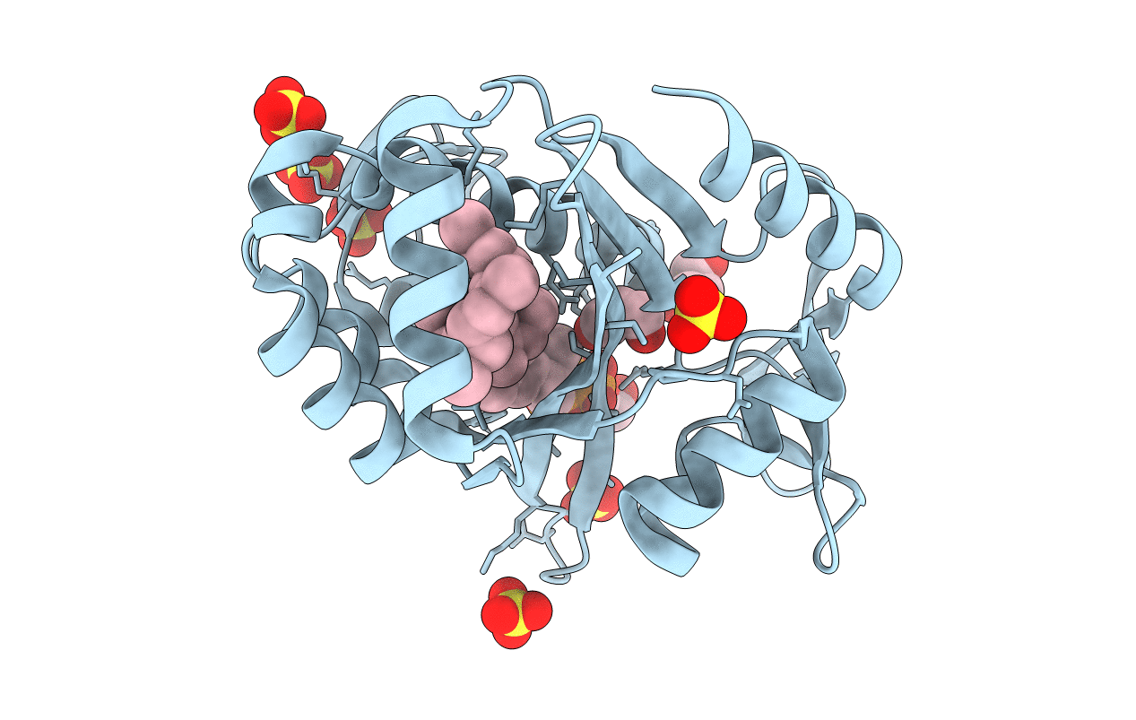 6UEX image