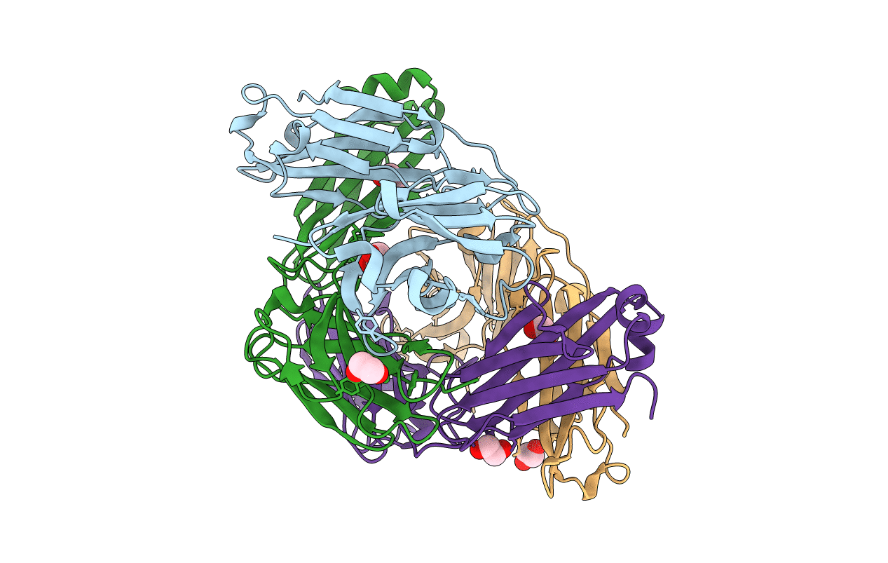6UGT image