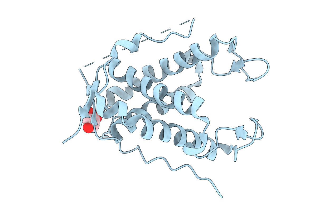 6UHI image
