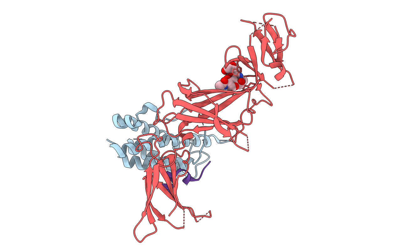 6UIB image
