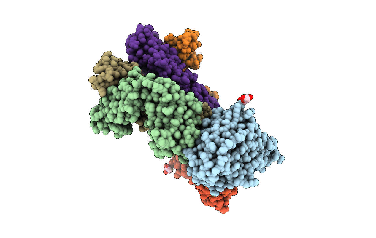 6UIG image