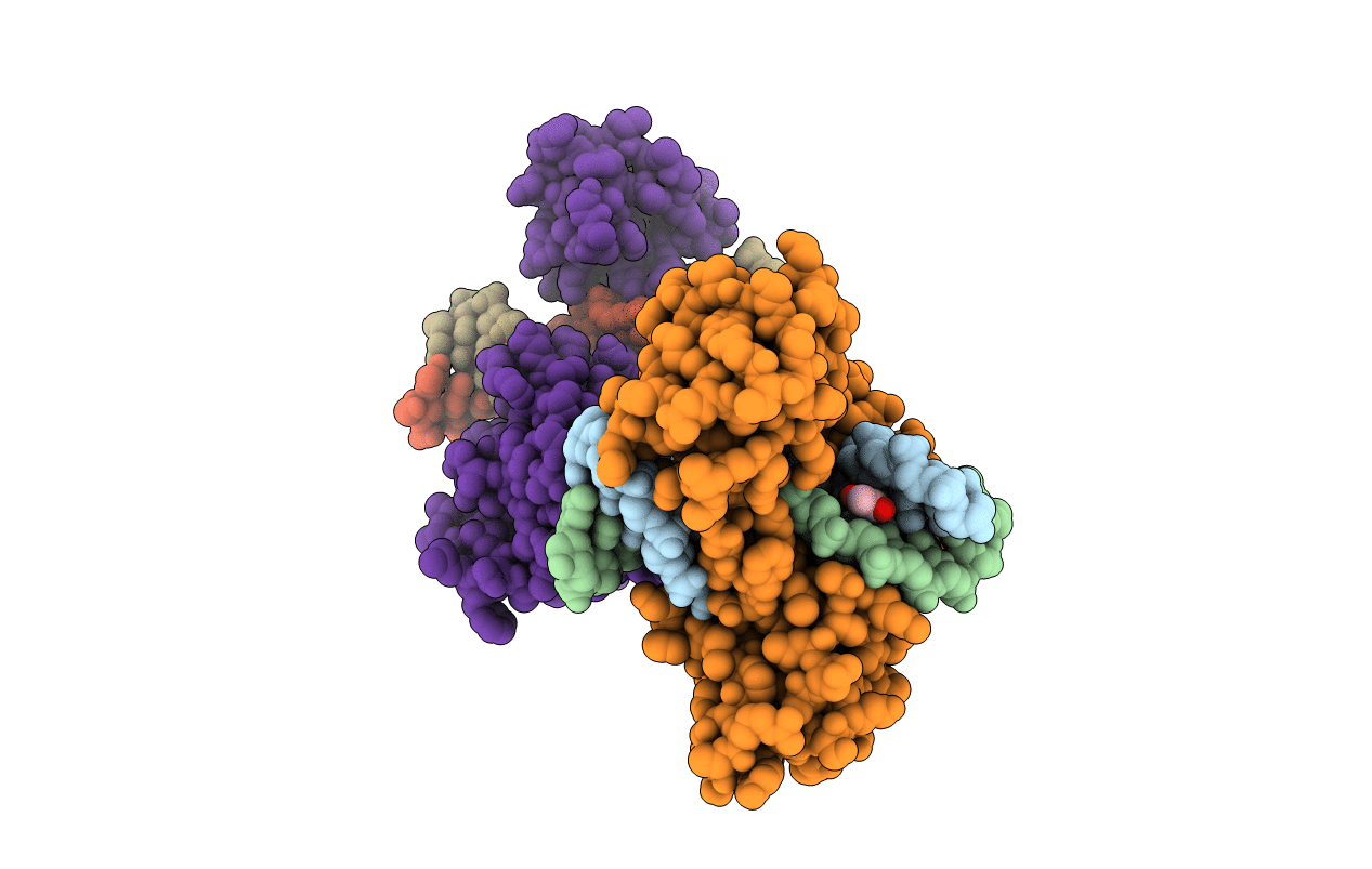 6UKI image