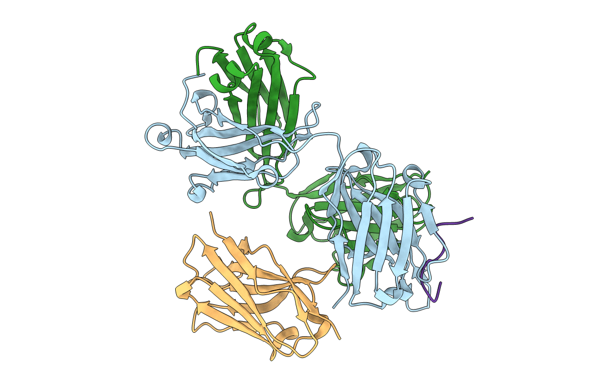 6ULF image