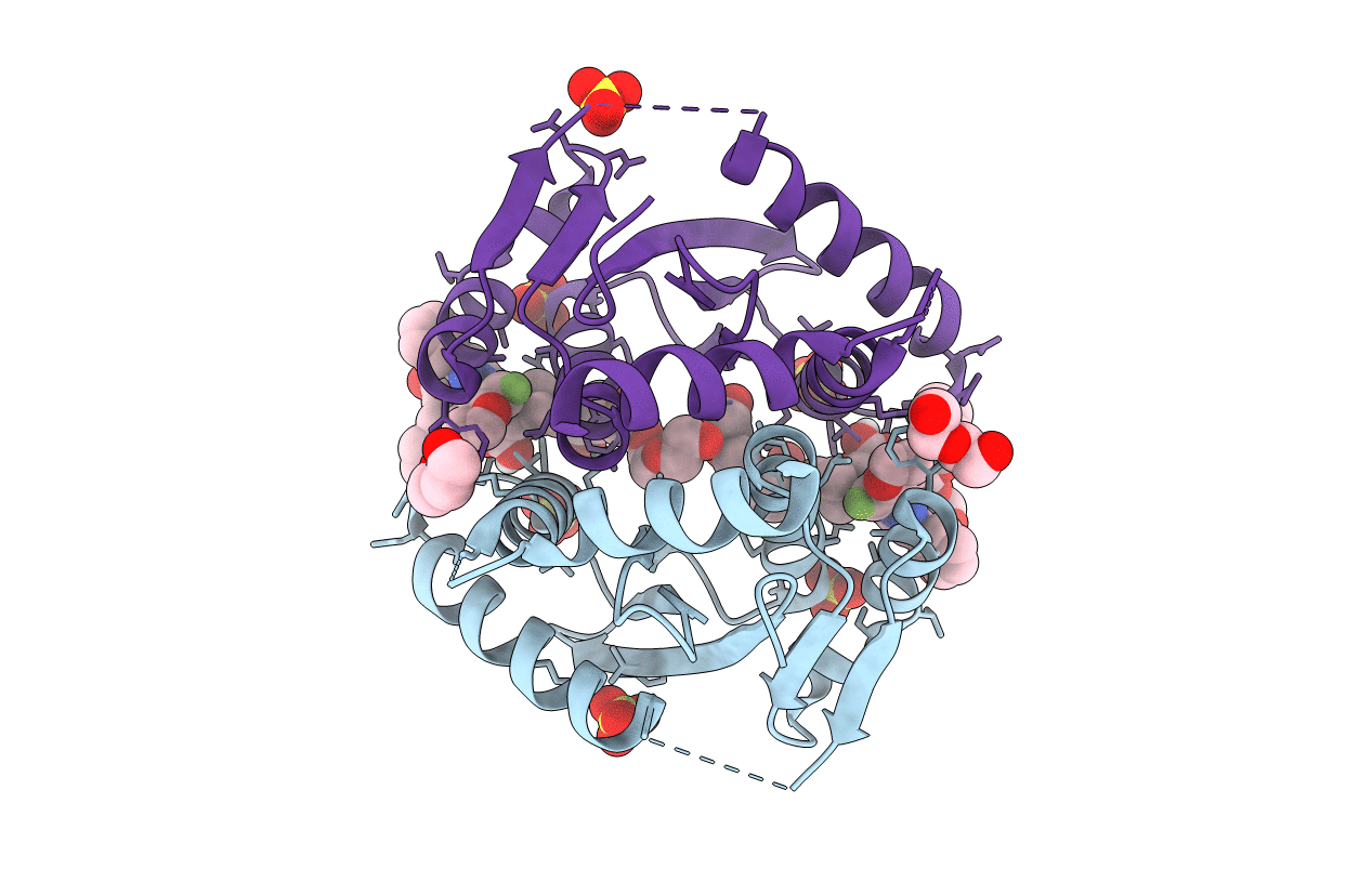6UM8 image