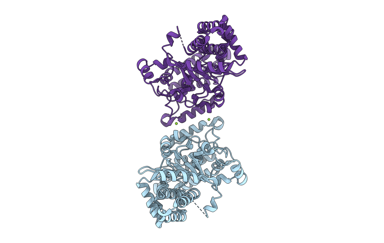 6UMR image
