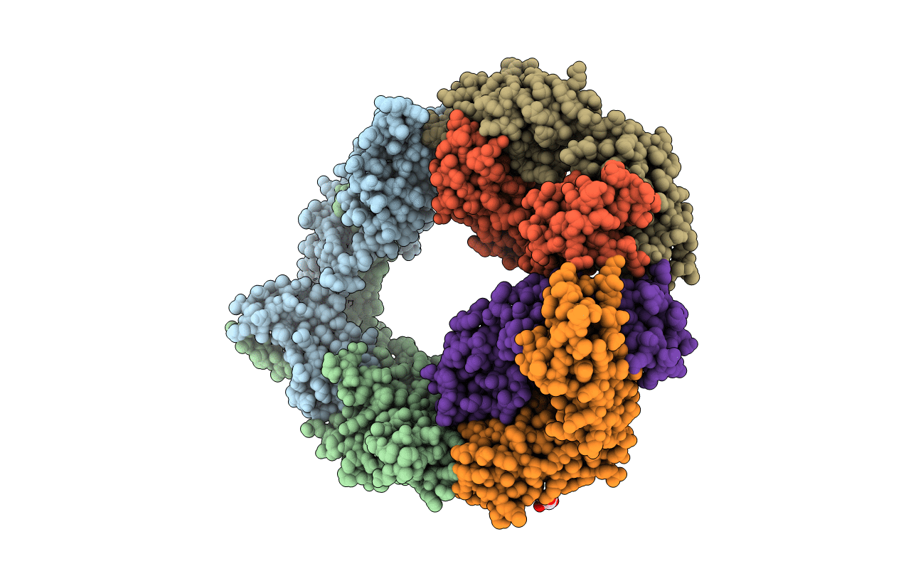 6UMX image
