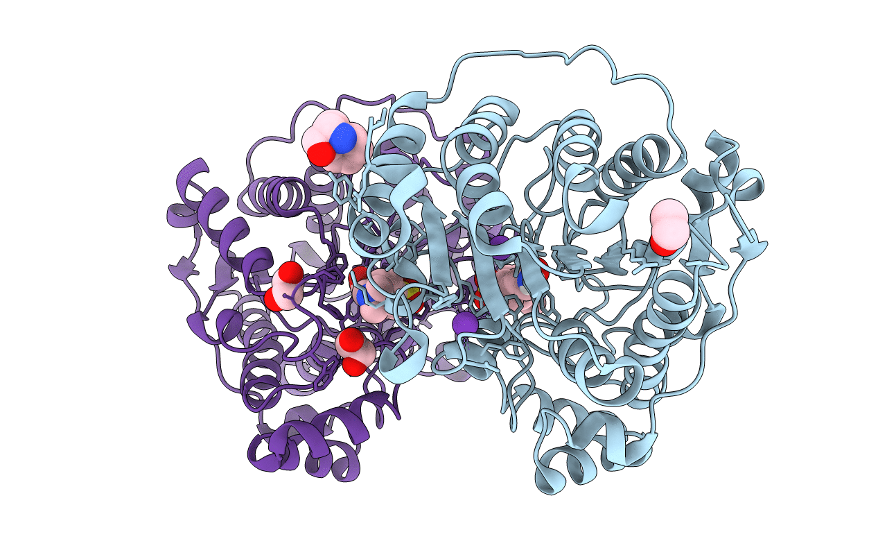6UOB image