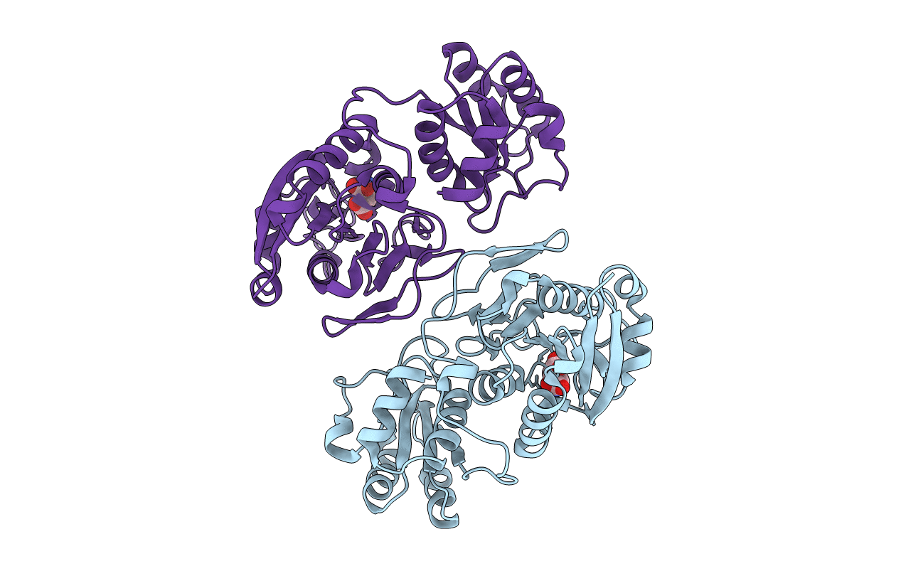 6UOH image