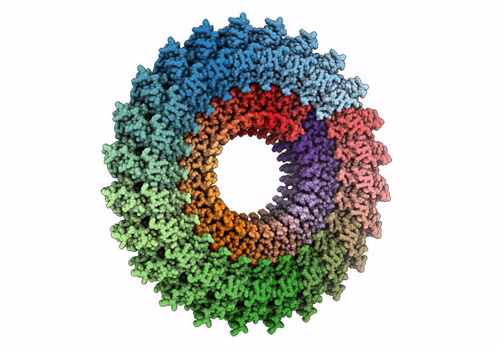 6UOT image