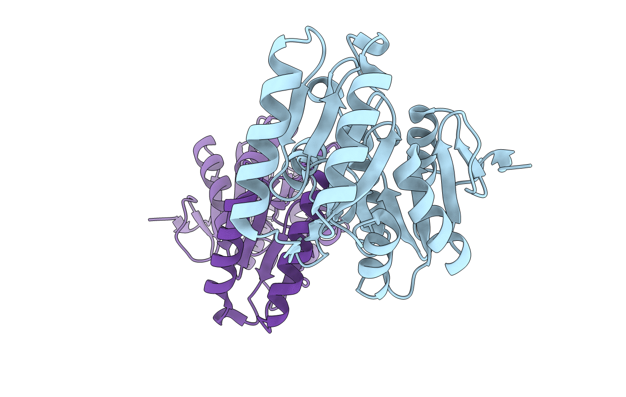 6UPB image