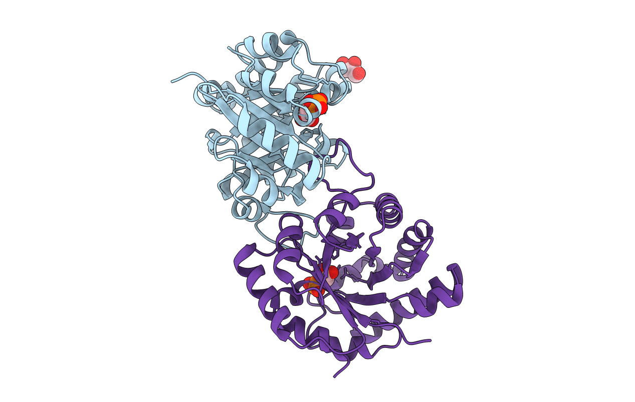 6UPF image
