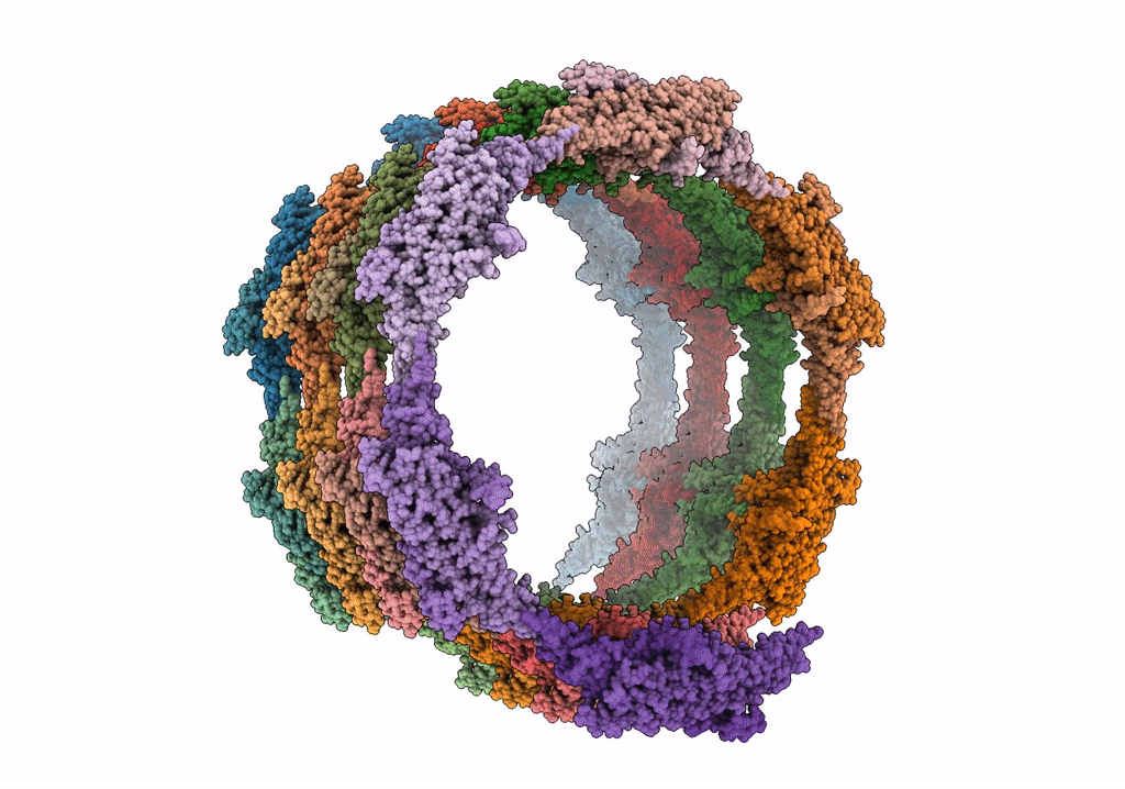 6UPN image