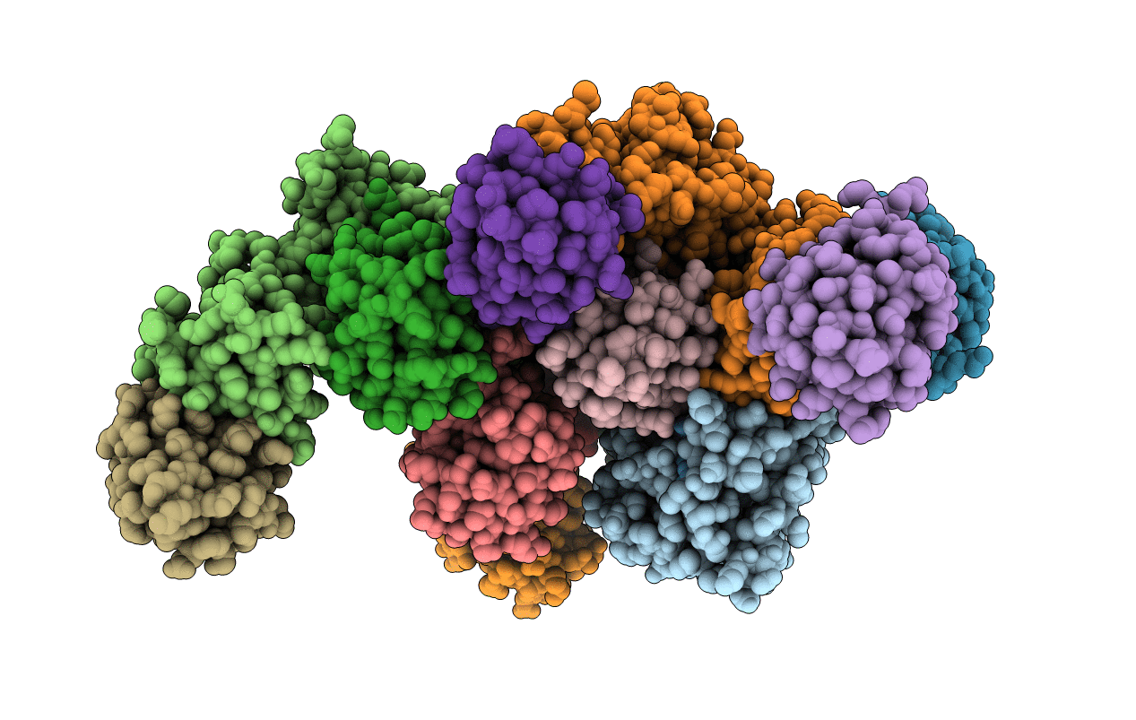 6UPU image
