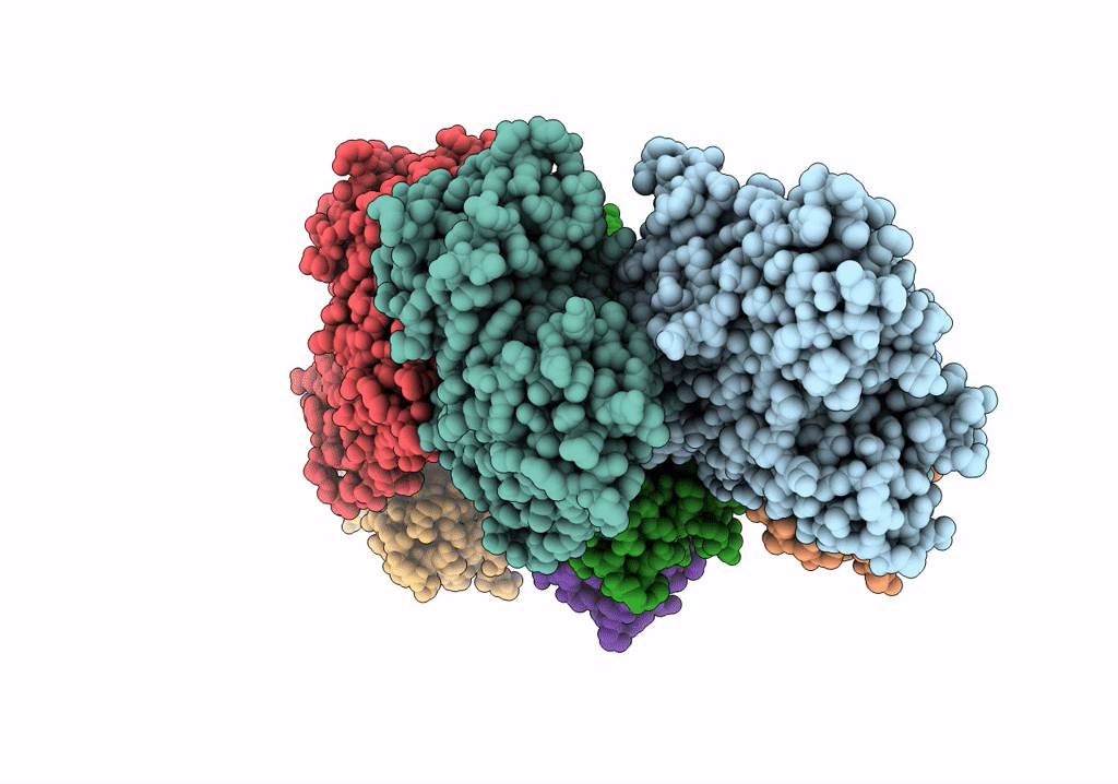 6UPV image