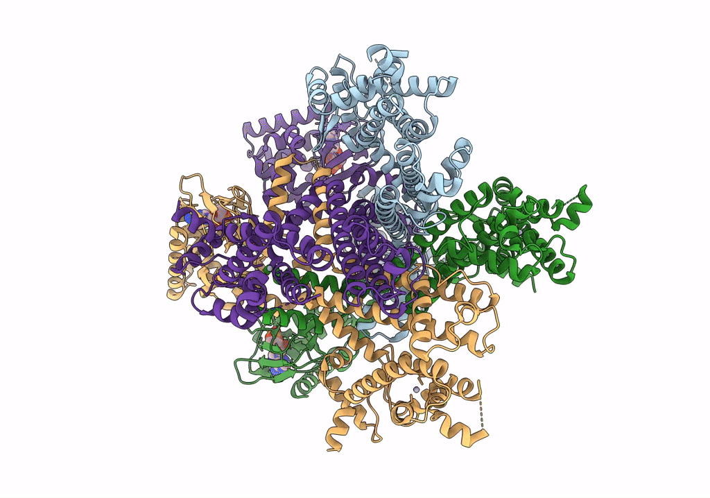 6UQF image