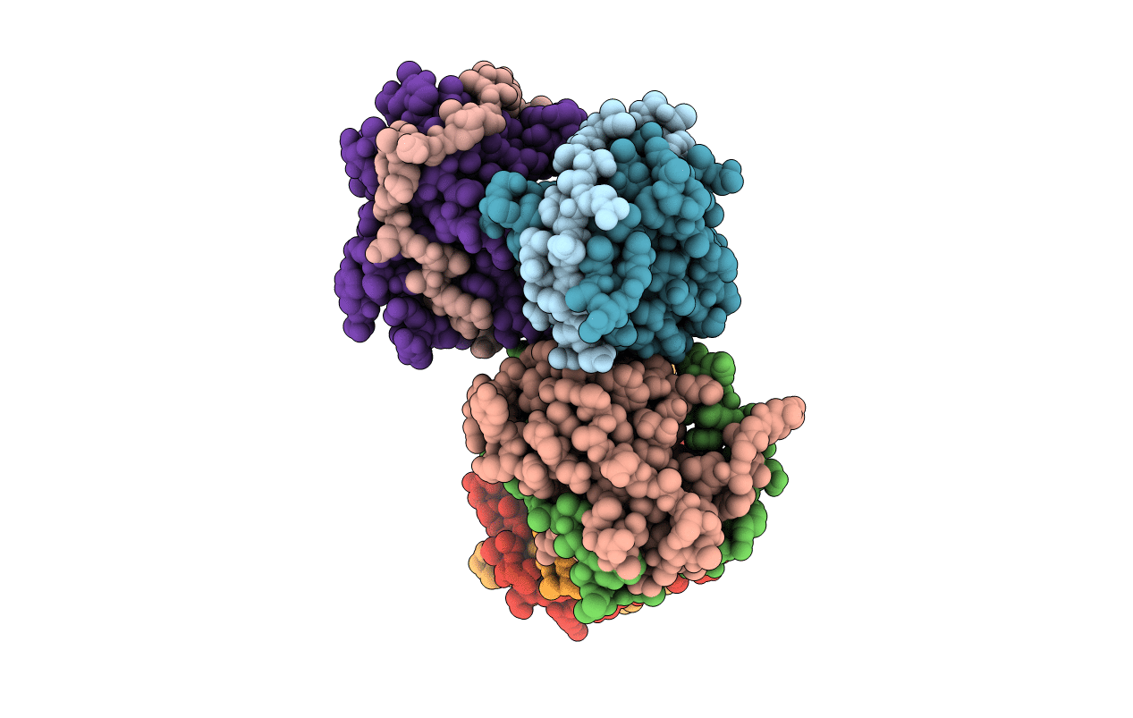6URV image