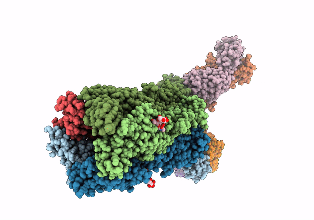 6USF image