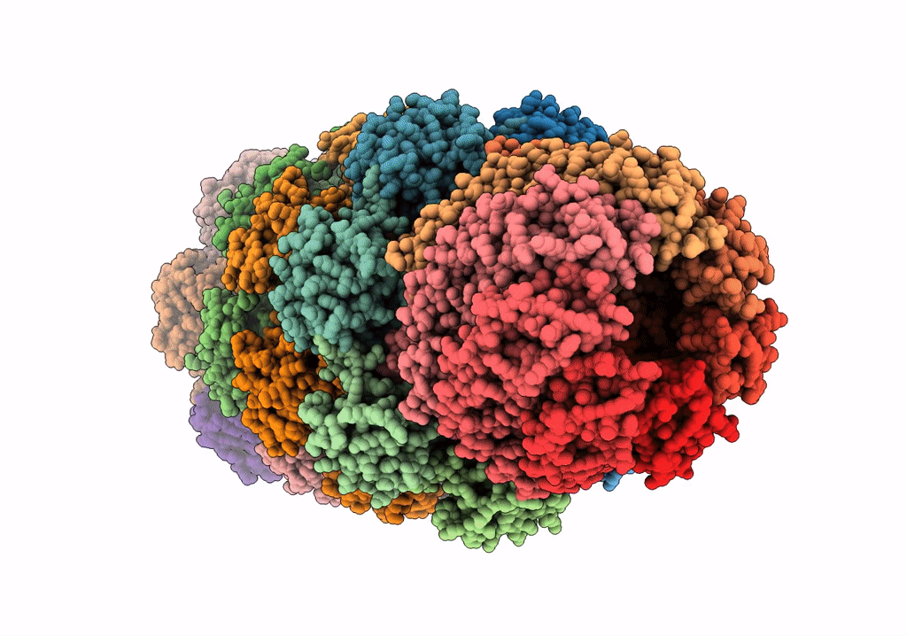6UTJ image