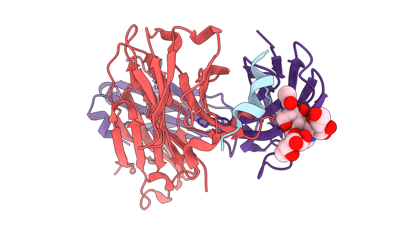 6UUD image