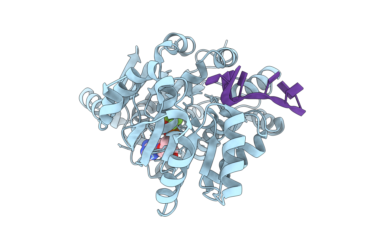 6UV4 image