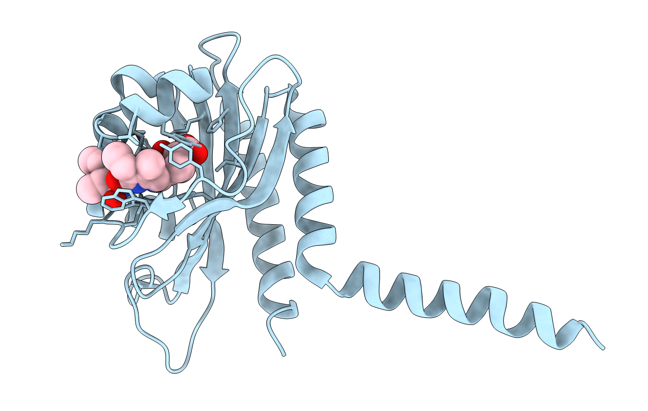 6UV8 image
