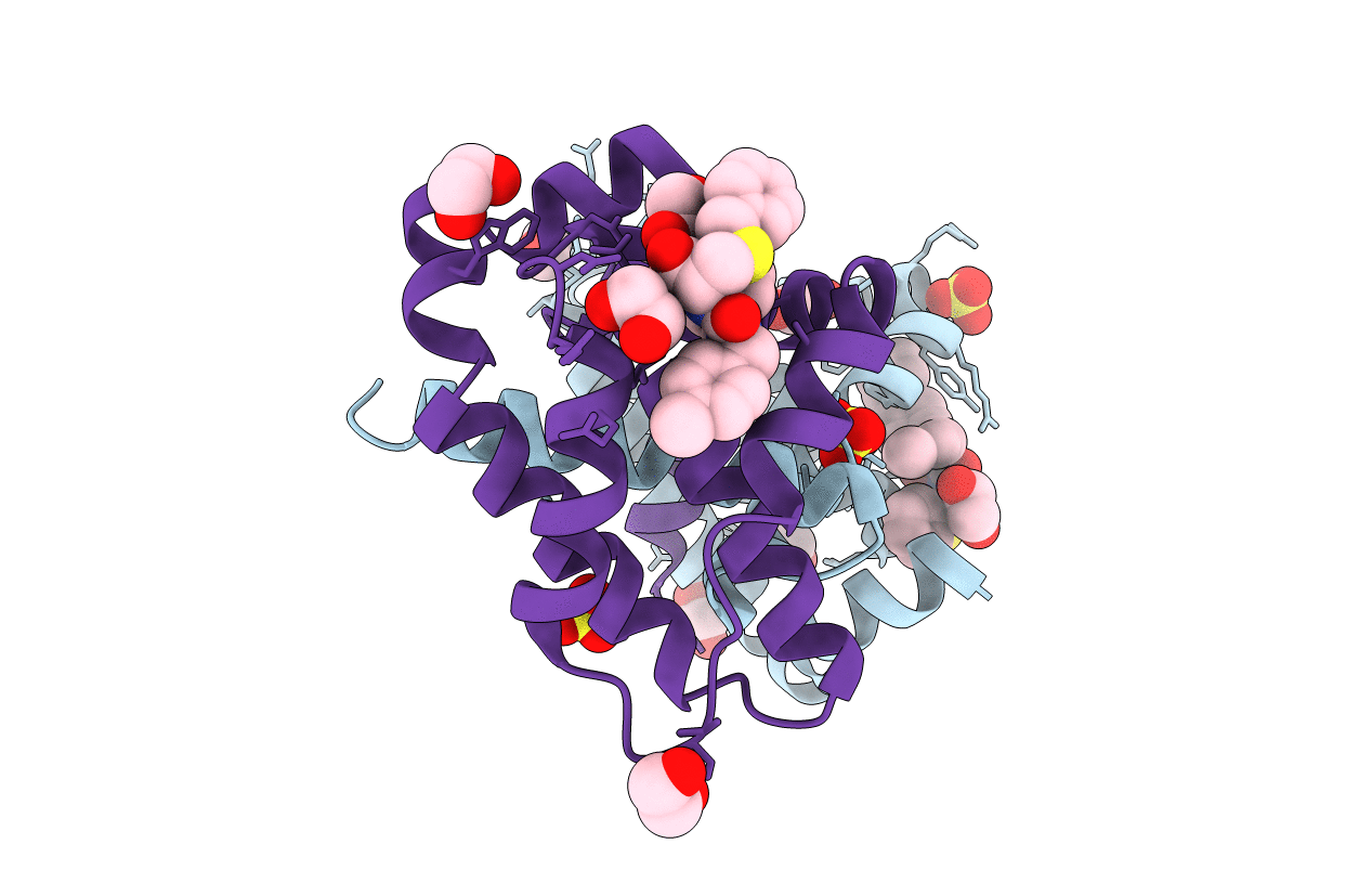6UVD image