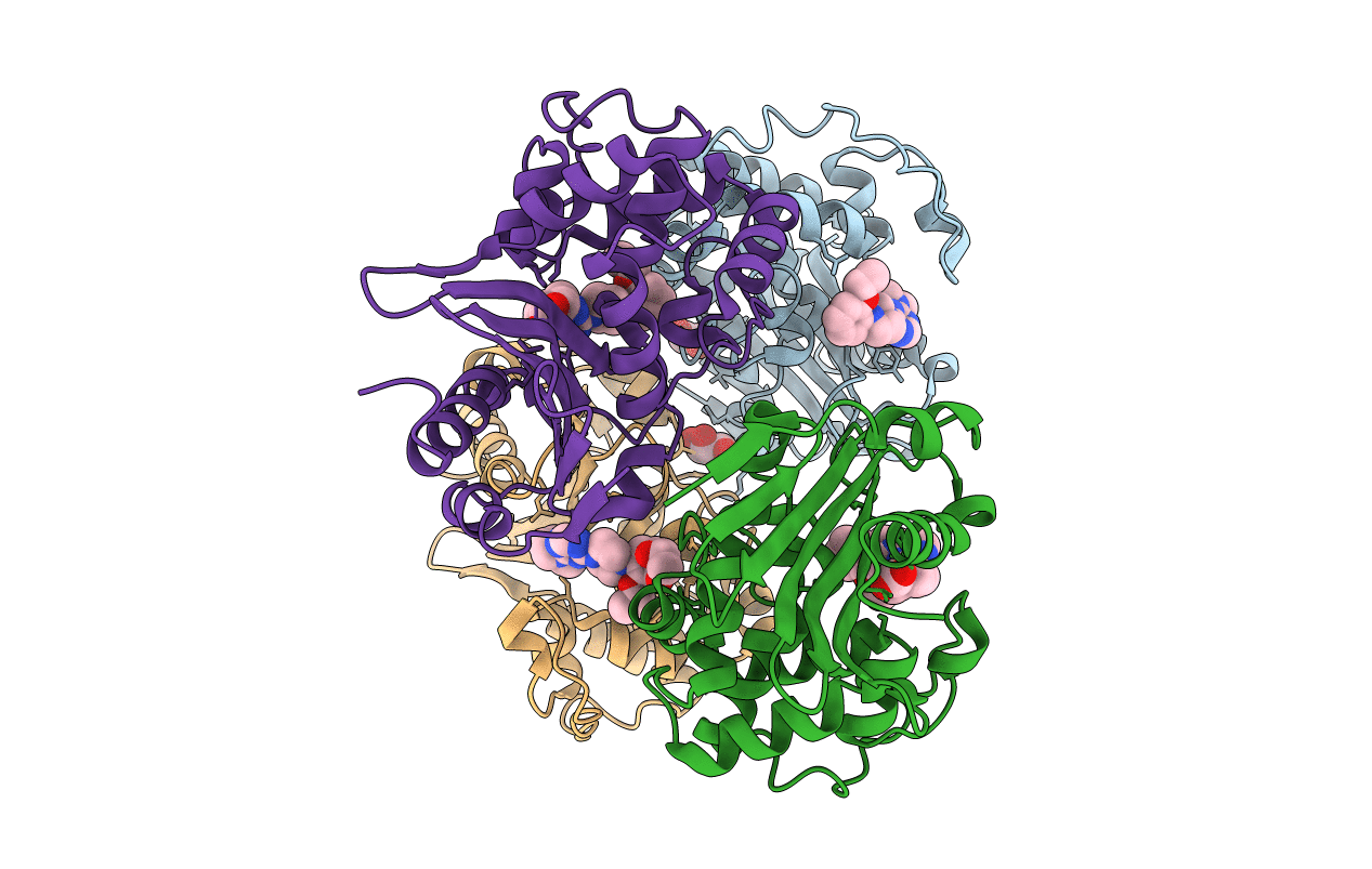 6UVK image