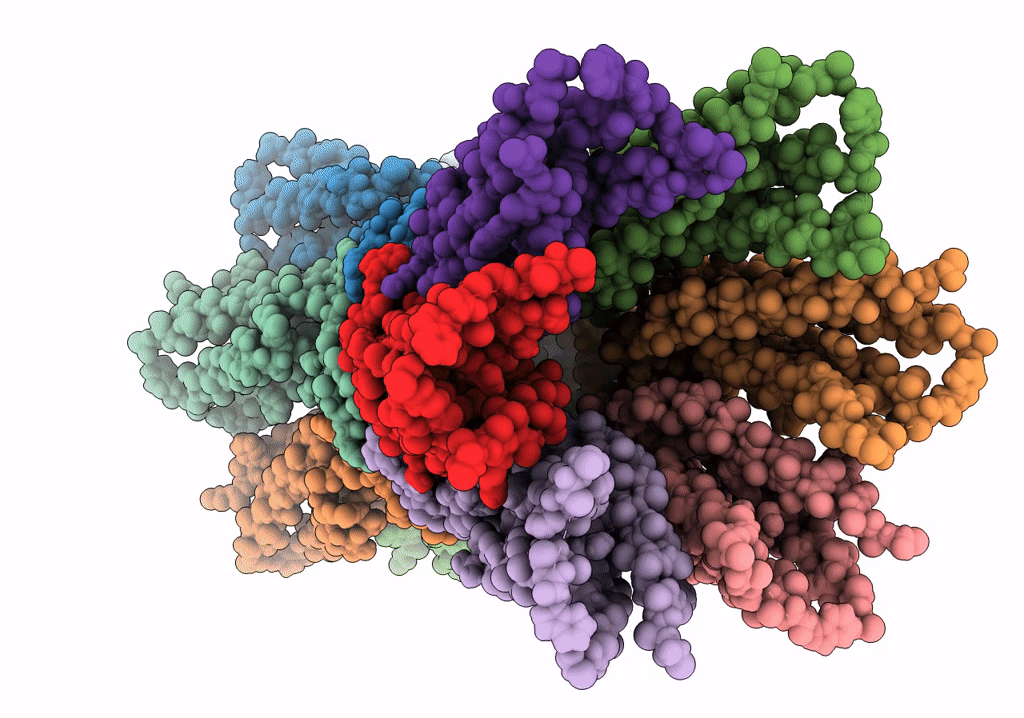 6UVS image
