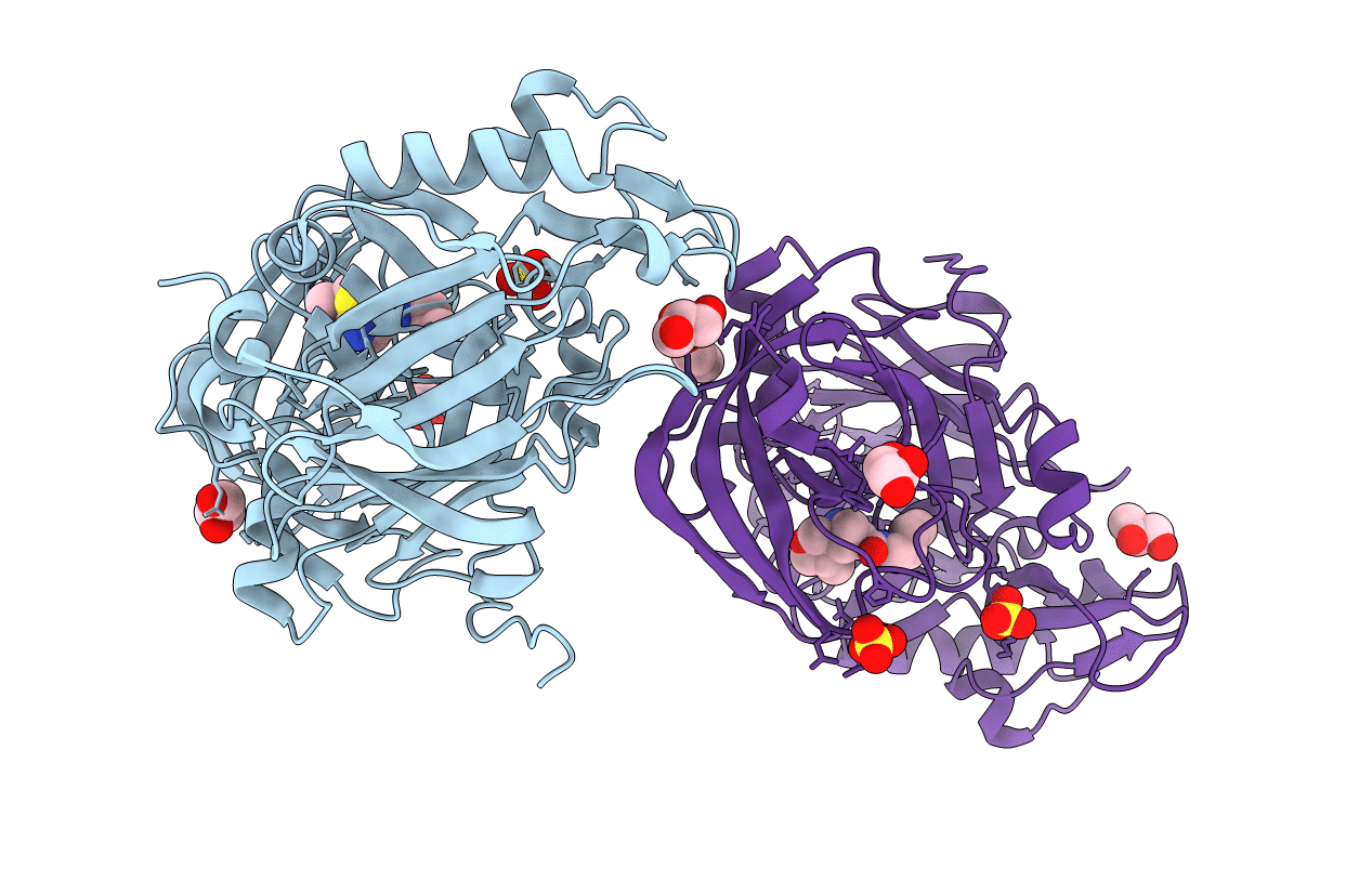 6UVV image