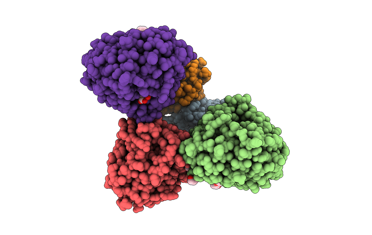 6UVZ image
