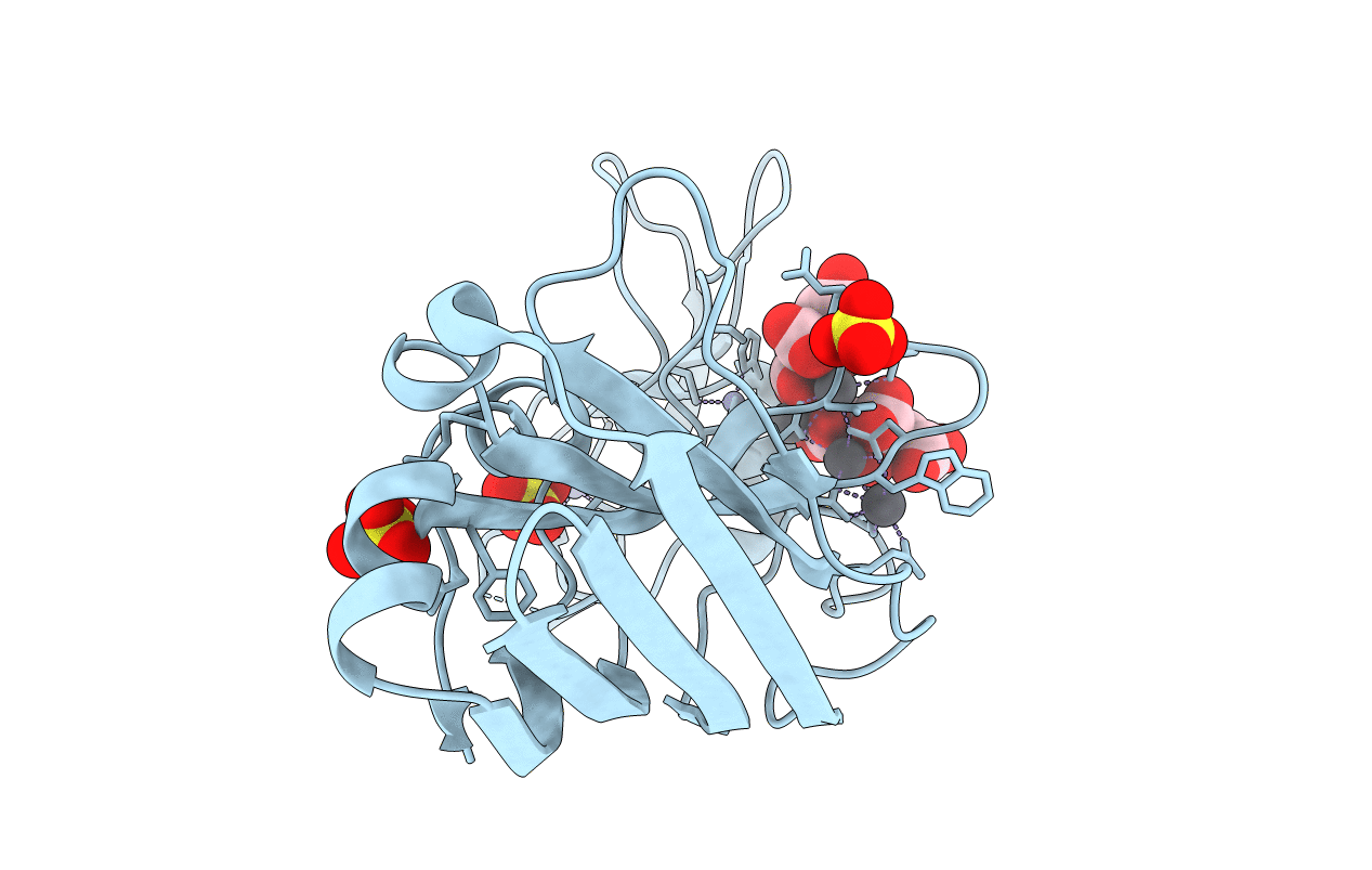 6UWA image