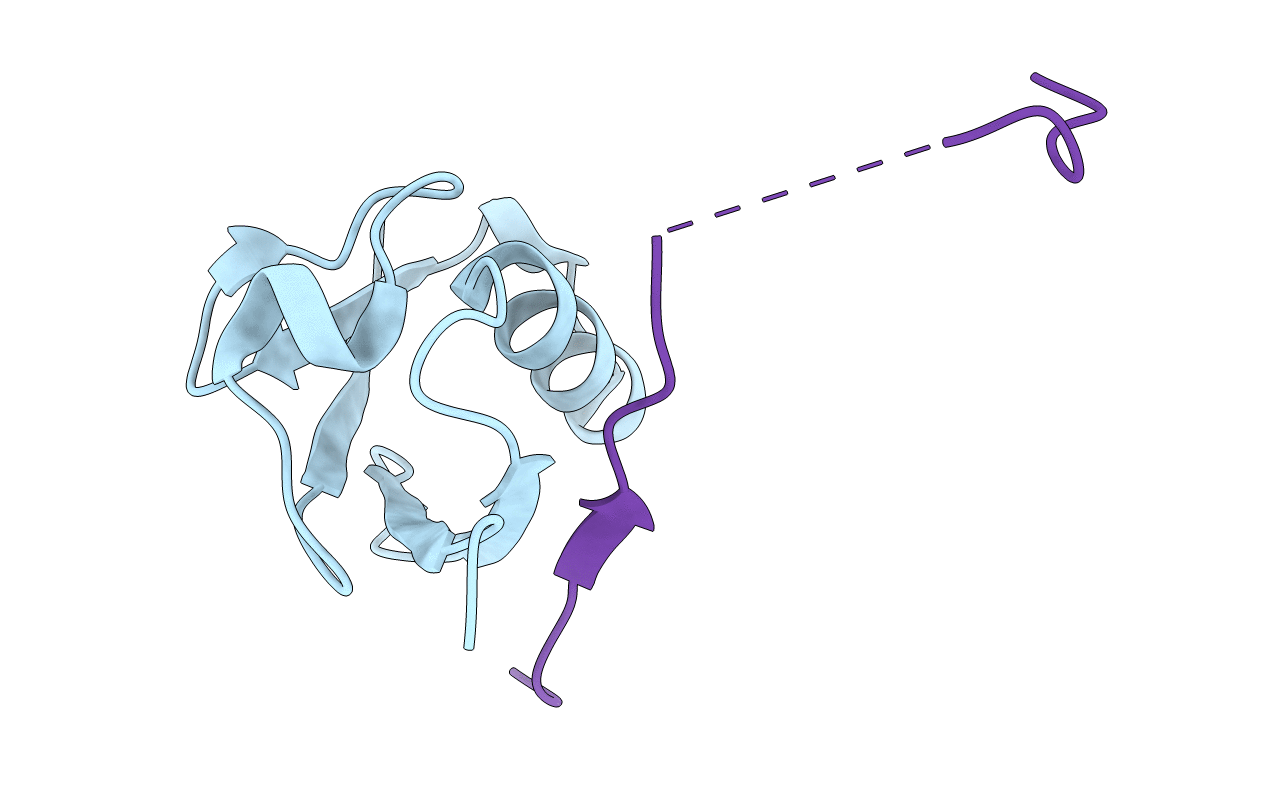 6UYT image