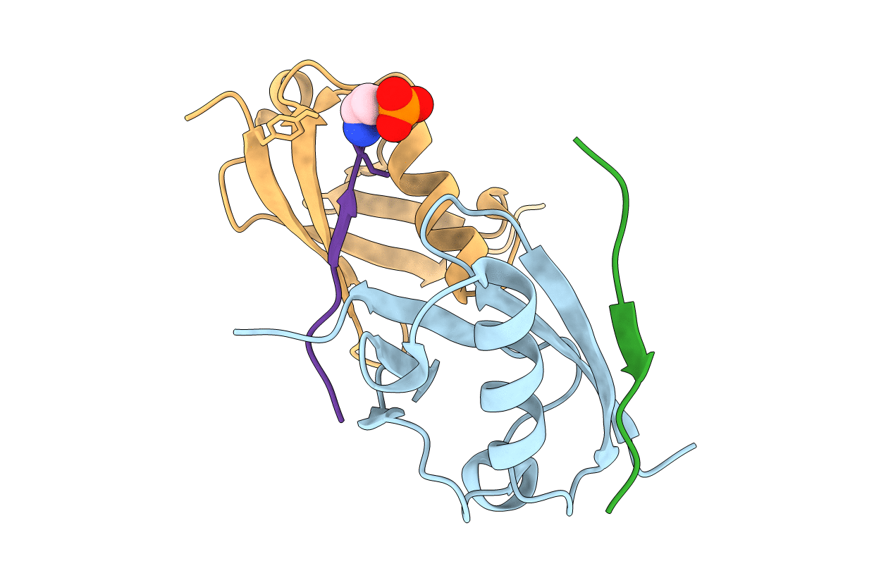 6UYX image