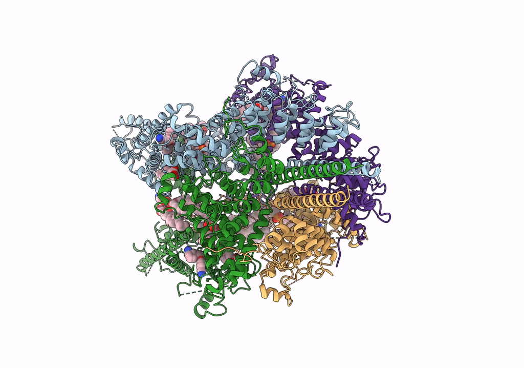 6UZA image