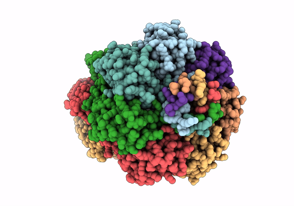 6UZH image