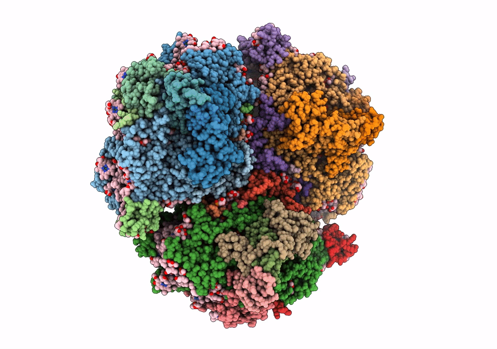 6UZV image