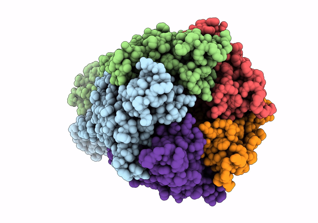 6V0B image