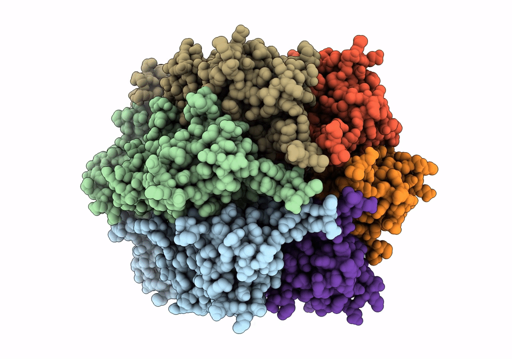 6V0I image
