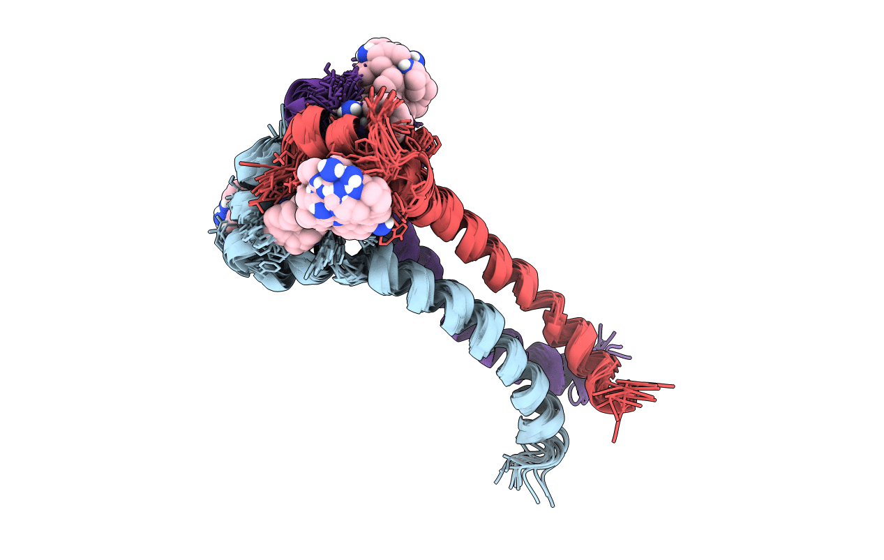 6V4T image