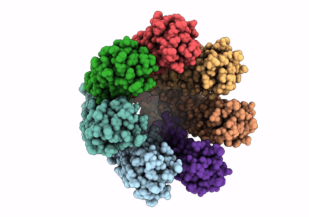 6V6D image