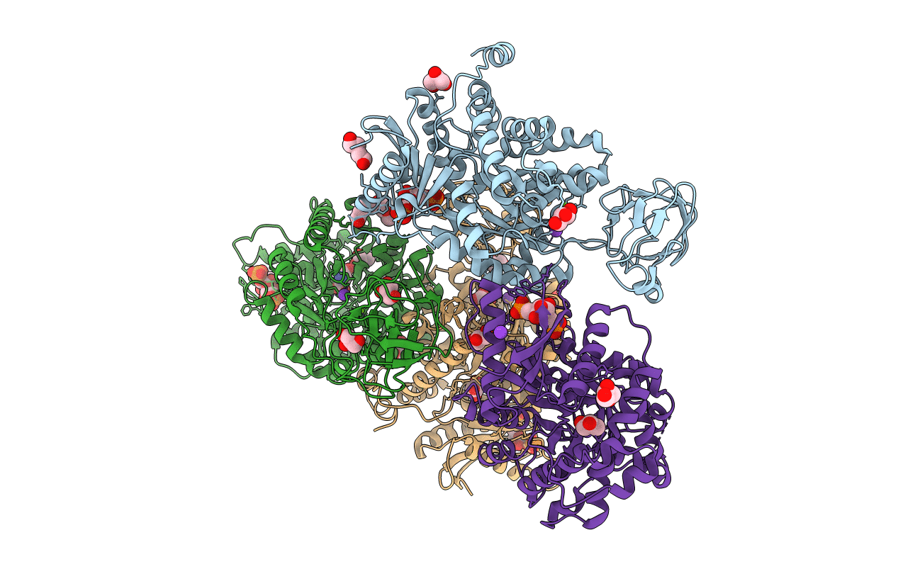 6V75 image