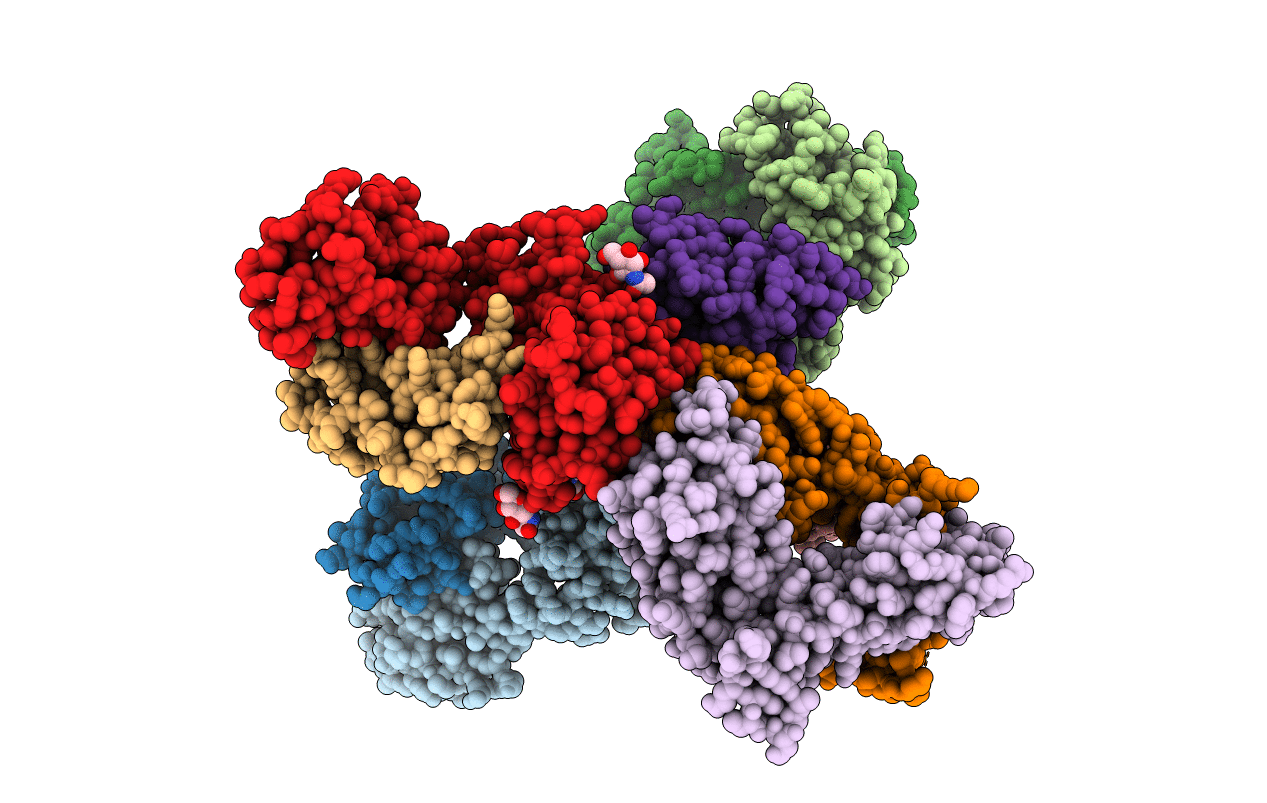 6V80 image