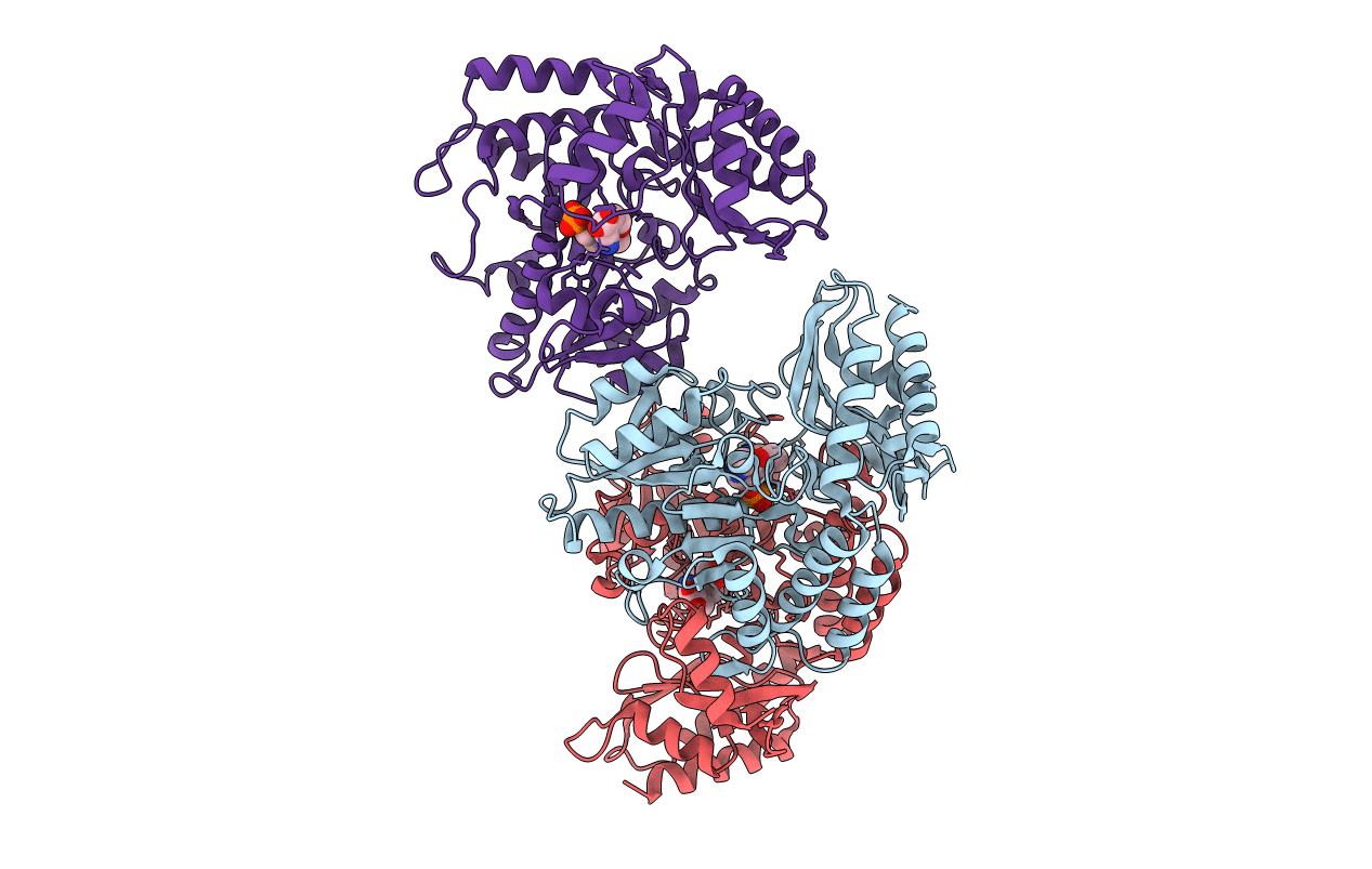 6V8D image