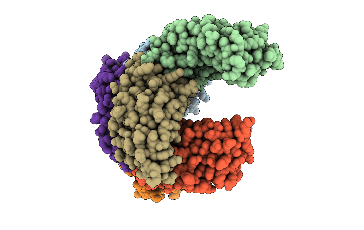 6V8E image