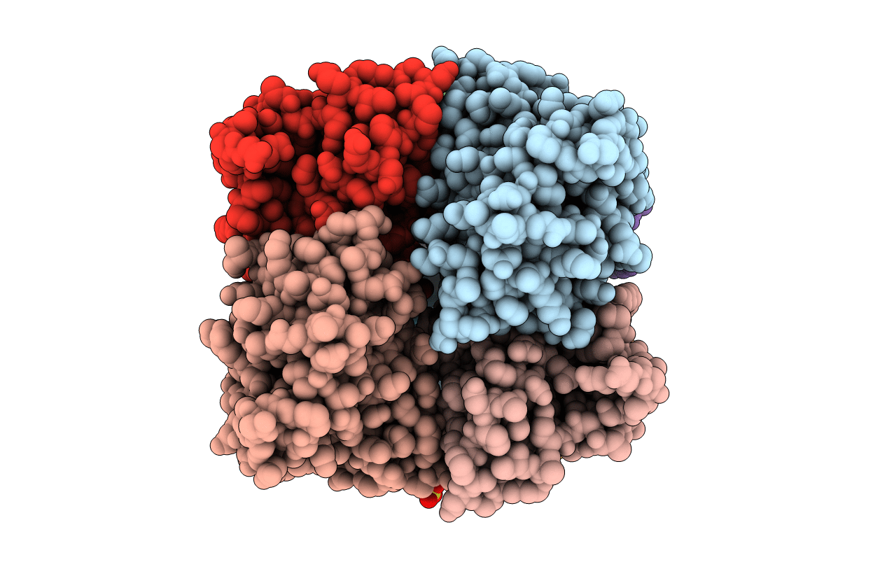 6V8H image