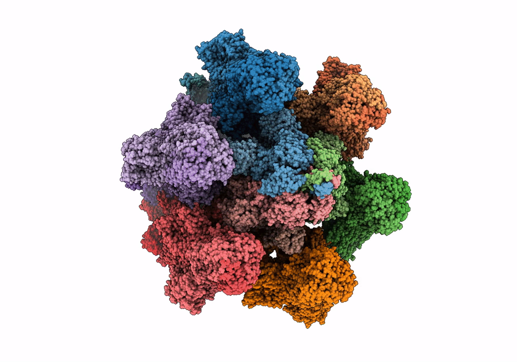 6V8I image